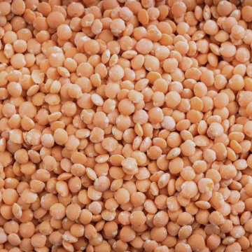 Red Lentils 
