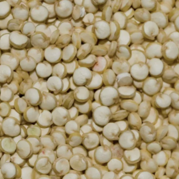 Quinoa 