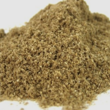 Coriander 