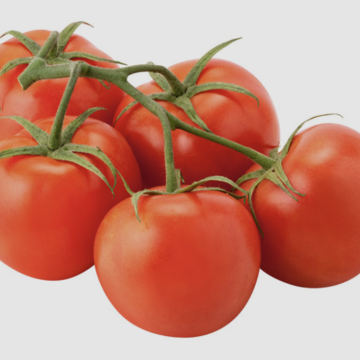 Tomatoes 